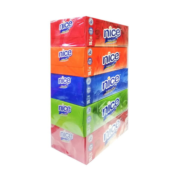 NICE Facial Box 2 Ply 5 Boxes (90s)
